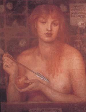 Study for Venus Verticordia (mk28), Dante Gabriel Rossetti